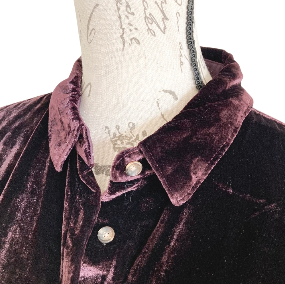 Maeve anthropologie Karina velvet button shirt top size 4 Plum Holiday - Picture 7 of 15